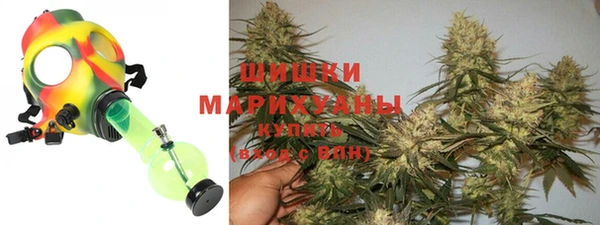 ПСИЛОЦИБИНОВЫЕ ГРИБЫ Баксан