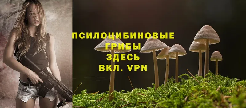 Псилоцибиновые грибы Cubensis  ссылка на мегу как войти  Верхняя Пышма 