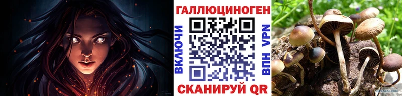 Галлюциногенные грибы Cubensis  ссылка на мегу онион  Верхняя Пышма 
