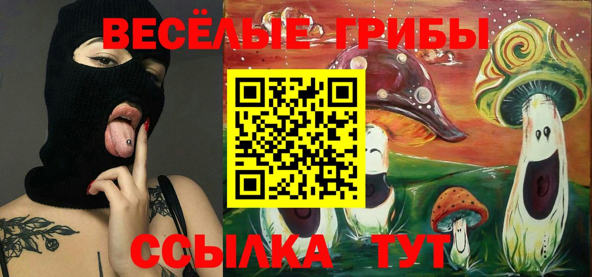 закладки  Вход с VPN  Верхняя Пышма  Галлюциногенные грибы Psilocybe 