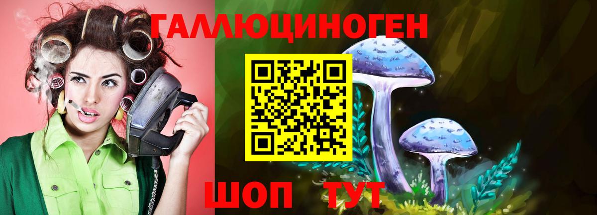 Псилоцибиновые грибы Psilocybe  Верхняя Пышма 