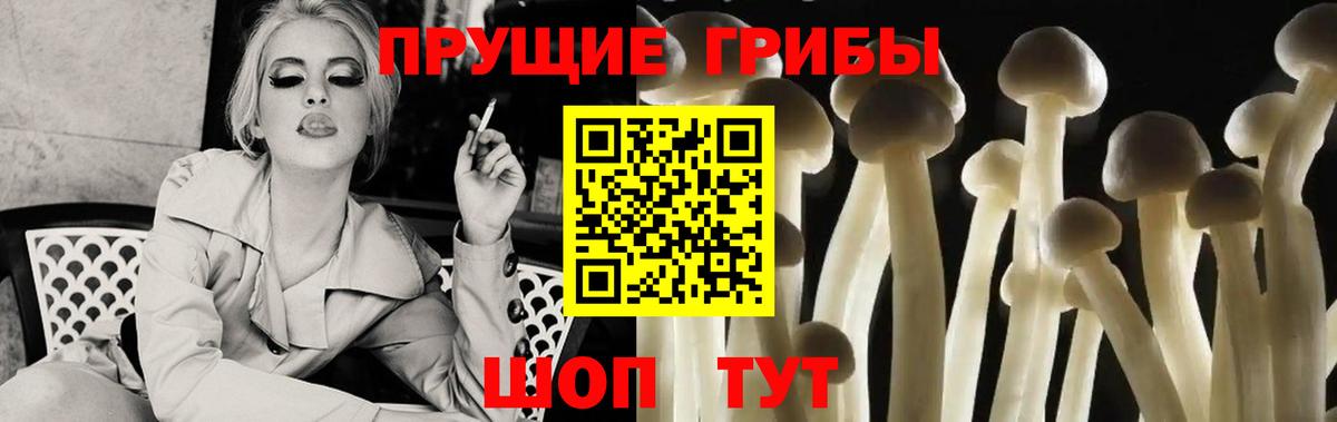 Псилоцибиновые грибы Psilocybe Верхняя Пышма